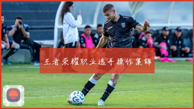 王者荣耀职业选手操作集锦