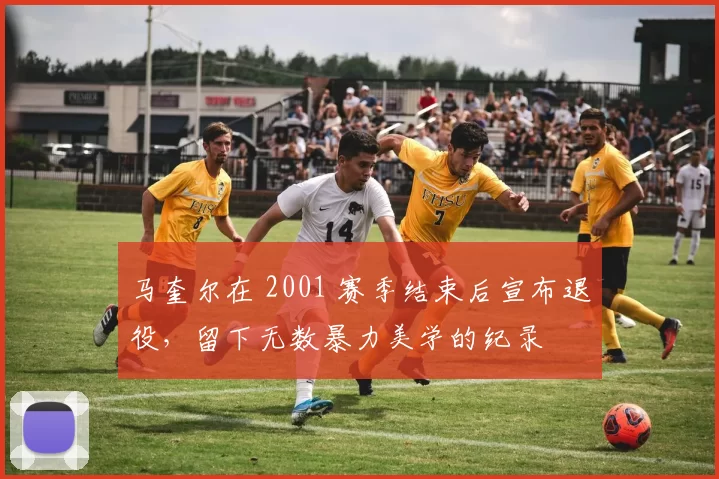马奎尔在 2001 赛季结束后宣布退役，留下无数暴力美学的纪录