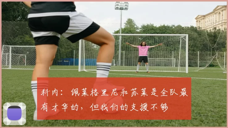 科内：佩莱格里尼和苏莱是全队最有才华的，但我们的支援不够