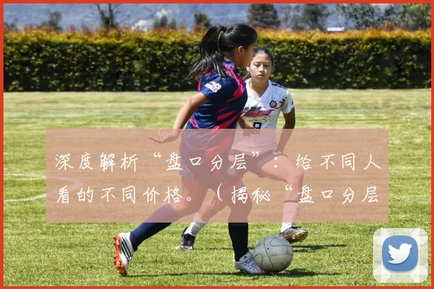 深度解析“盘口分层”：给不同人看的不同价格。（揭秘“盘口分层”：同一市场，不同人眼中的不同价格）