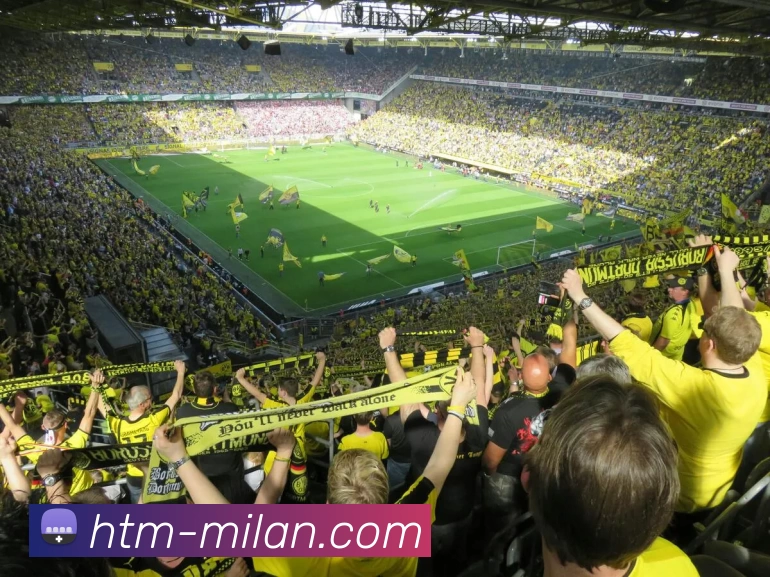 多媒体互动体验